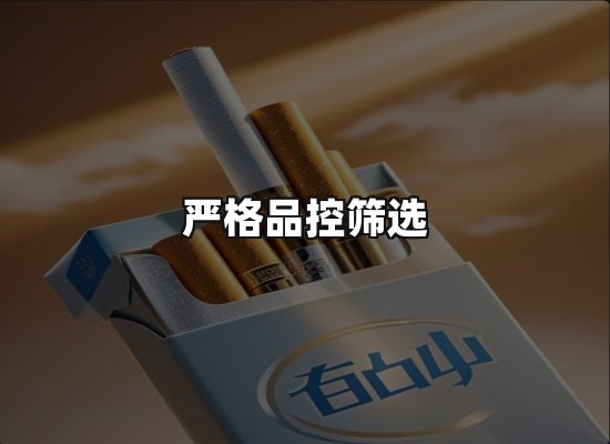 专业优势